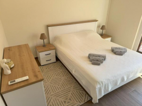 Apartment Milica